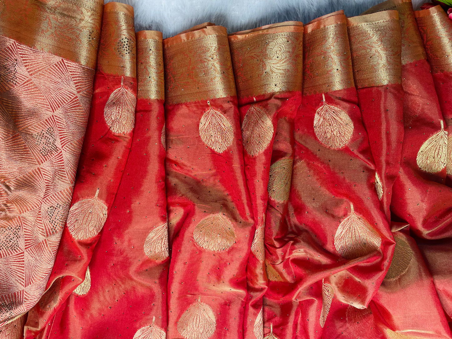 Rusty Organza Saree With Zari and Stone Work