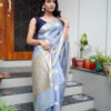 Greyish Blue Organza Saree With Zari and Stone Work